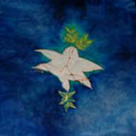 Mogen dove-d challah_s.jpg