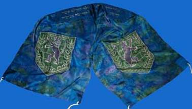 Lion of Judah tallit_s
