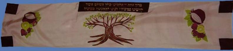 Ava pom-kiwi-strawberry tallit_s.jpg